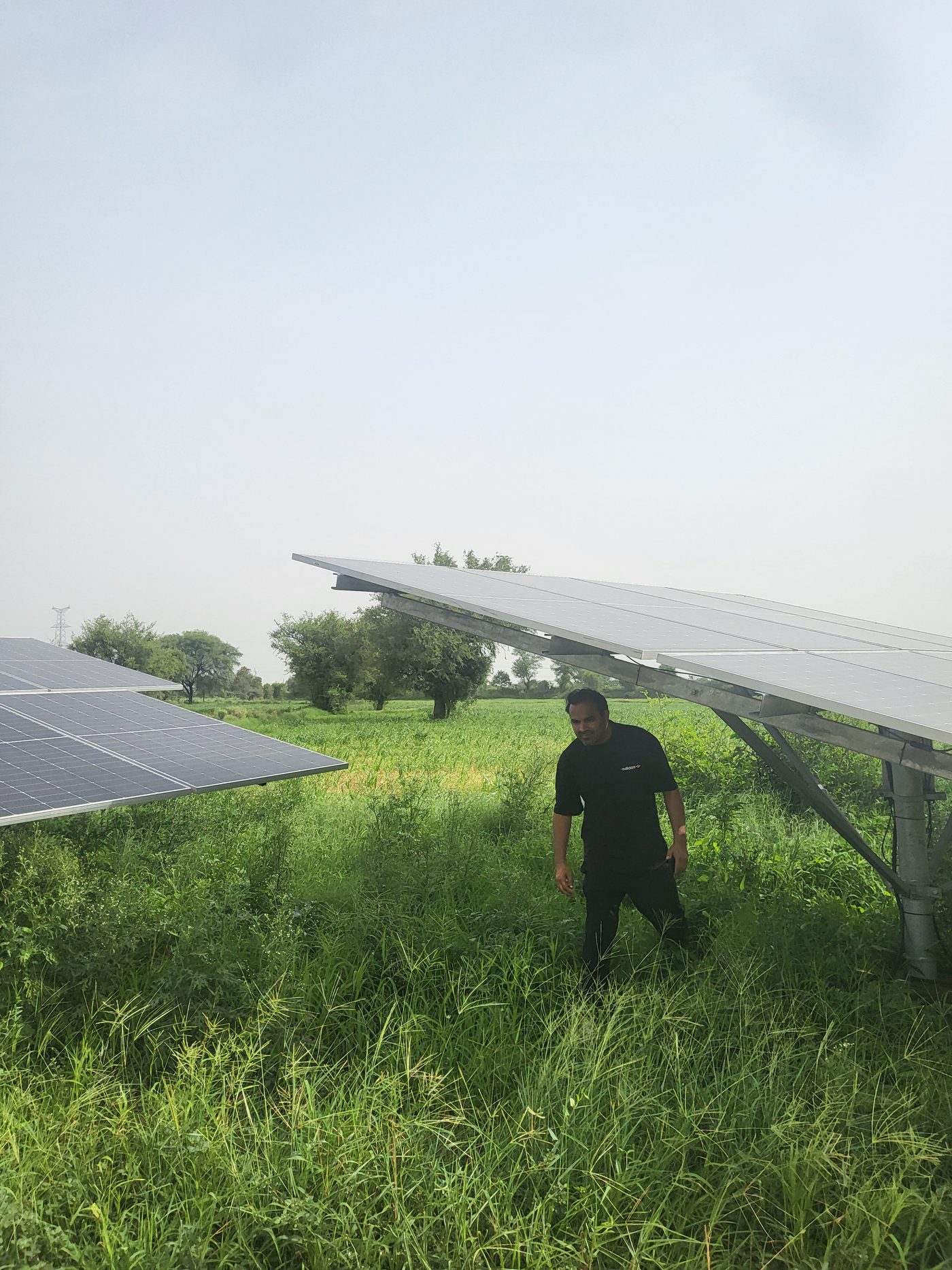 Solar-powered tubewell irrigating the farm