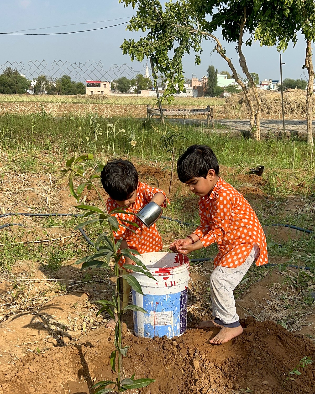Ranveer and Ranvijay watering a young sapling at RV Farms